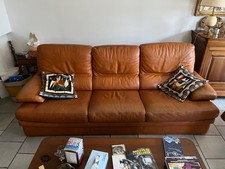 Deux canapés Roche Bobois en