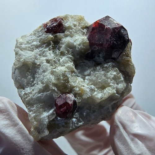 Spécimen rare grenat rouge - spécimen,