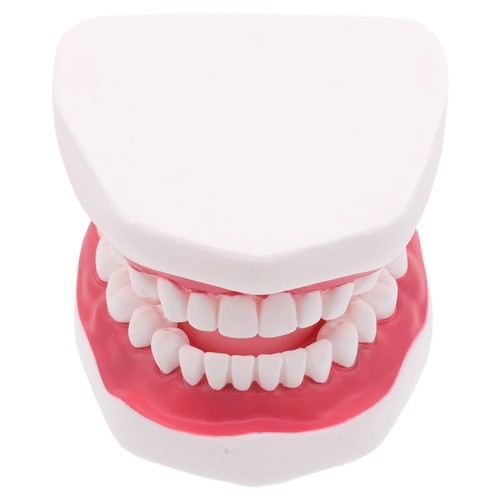 Modèle bouche modele - de,
