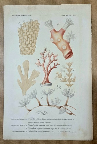 Gravure aquarellée gommée