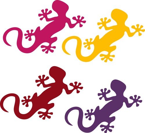 Gecko set autocollants - set,