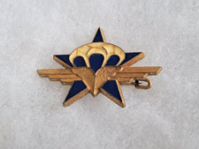 Un insigne militaire " 1° RCP