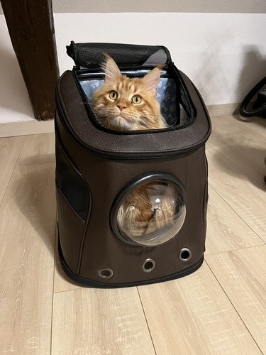 Sac dos xxl pour chat - sac,