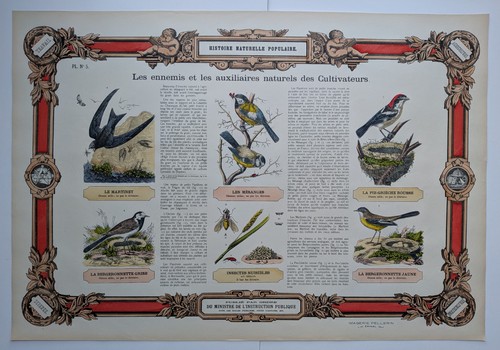 Histoire naturelle populaire - naturelle,