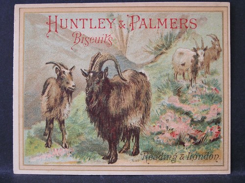 Biscuits huntley palmers - huntley,