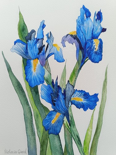 Iris bleus aquarelle - bleus,