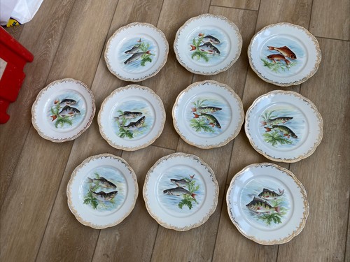 Assiettes plates porcelaine - plates,
