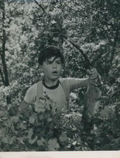 JACQUES MOULIERES LES FRUITS SAUVAGES 1954 PHOTO ORIGINAL #6