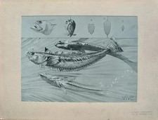 Mathurin MEHEUT : Le Poisson