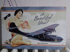 TOLE METAL HYDRAVION PIN UP 20