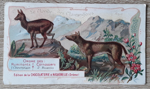 Carte-Chromos-Découpis-CHOCOL