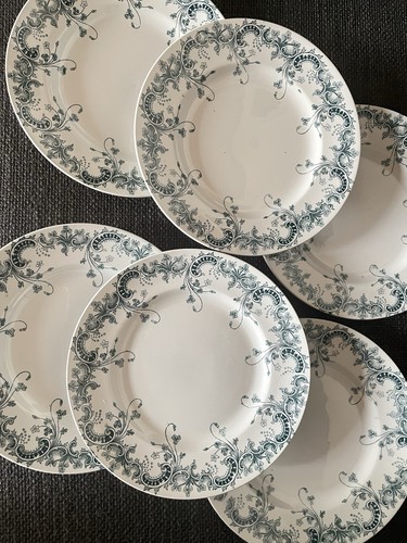 Assiettes plates terre de - terre,