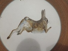 🟢 MARCEL GUILLOT ASSIETTE CERAMIQUE MODERNISTE vintage CERAMIC PLATE RABBIT