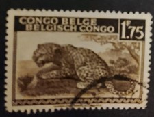 Congo Belge Léopard 1942 1,75
