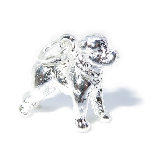 Breloque argent sterling - breloque, en