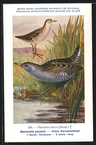 Carte postale artiste hubert - d'artiste,
