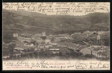 CPA Sail-sous-Couzan, Vue