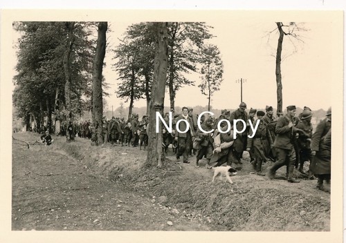 Photo wk2 france 1940 - wk2,