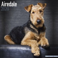 Calendrier 2020 - AIREDALE