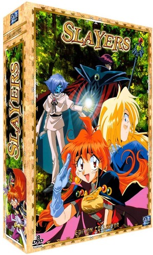 Dvd slayers partie collector - dvd,