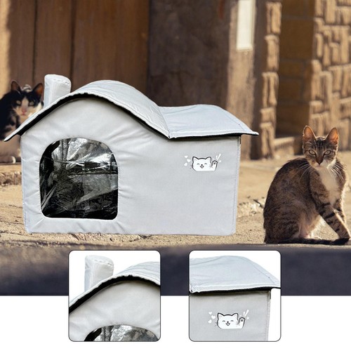 Abri pour chats errants