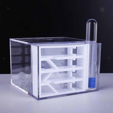 Habitat de ferme de fourmis