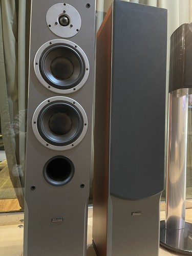 Dynaudio audience cherry - 72,