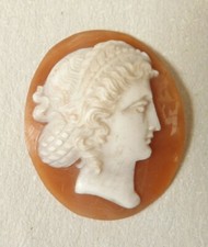 Camée sur coquille 19e