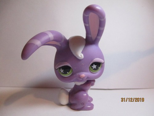 Petshop lapin garenne - petshop,
