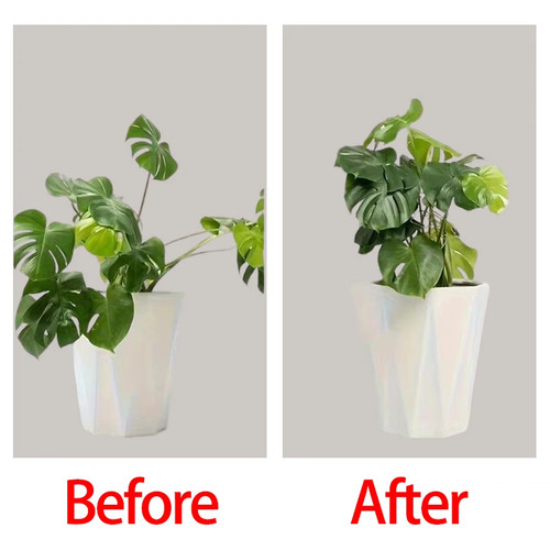 Clips fixation plantes - fixation,