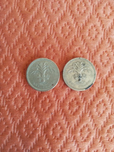 Pièce one pound elisabeth - pièce,
