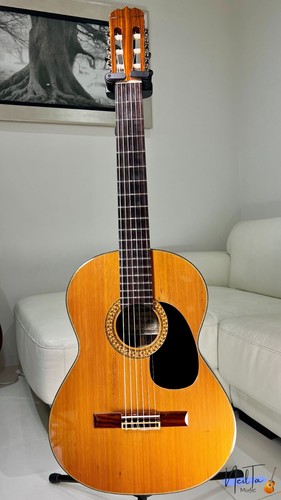 Matsuoka custom electric - no.20,