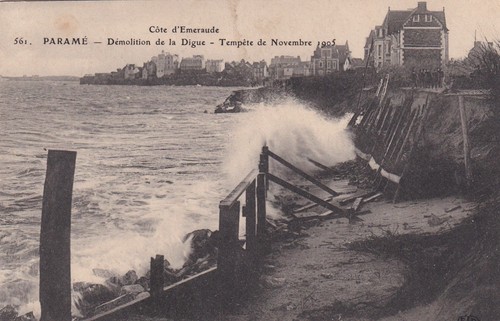 Carte postale postcard - 🦬carte,