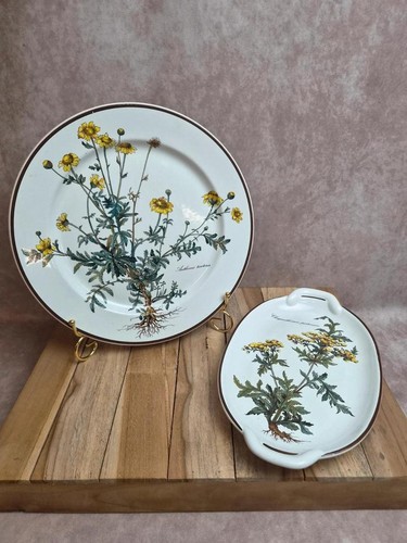 Lot plats villeroy boch - plats,