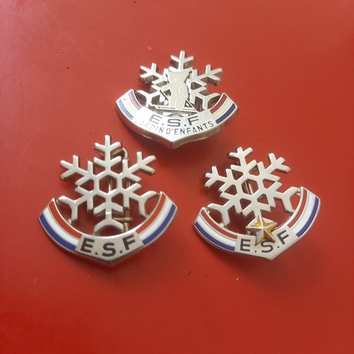 Insignes montagne ski - ski, ourson