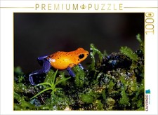 CALVENDO Puzzle Erdbeerfrosch