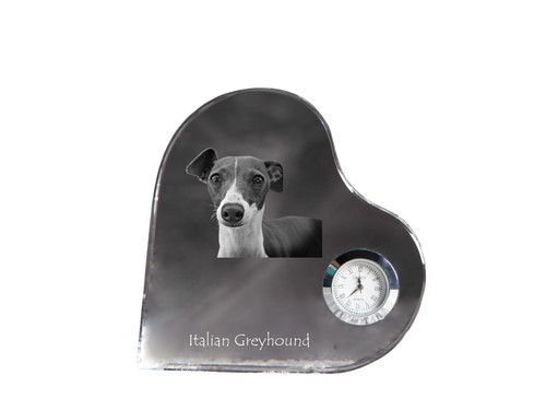 Italien italian lévrier - italien,,