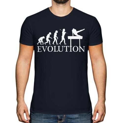 Arçon cheval evolution de - cheval,
