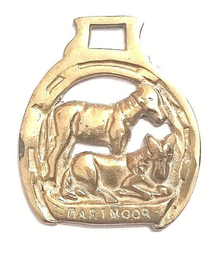 Horse brass décor - brass,, chevaux
