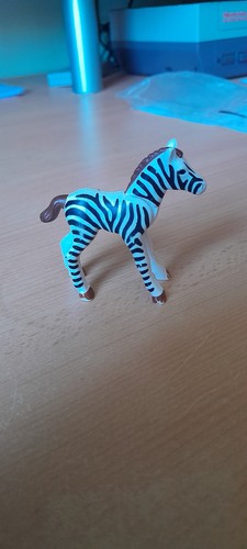 Animal bebe zebre - , foret