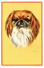 CPA AK Pekinois DOGS (745882)