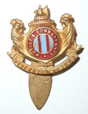 INSIGNE DE BOUTONNIERE UNION FEDERALE DES MUTILES COMBATTANTS DU JURA -  Bargas