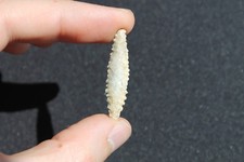 Préhistoire Néolithique