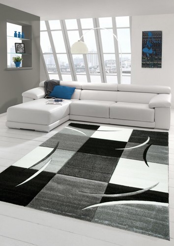 Salon designer tapis - salon,