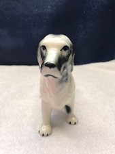 Large White And Black Dog