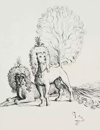 Caniche royal 1897 dessin - 1897, |
