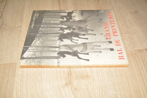 Grand bal printemps - printemps,