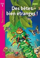 Drôles de petites bêtes
