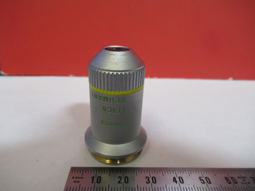 Leica phase objectif 10x - phase,