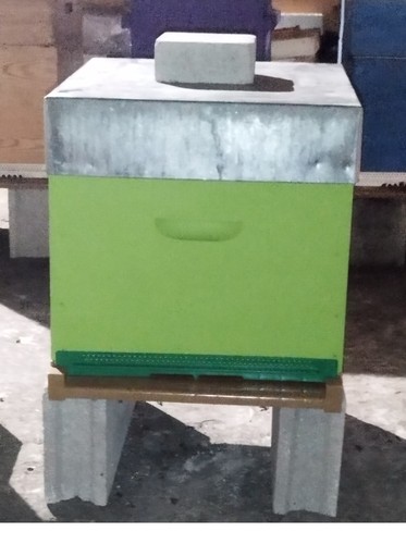 Ruche verte dadant peuplée - verte,